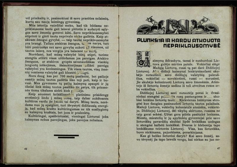 Naujoji Lietuva