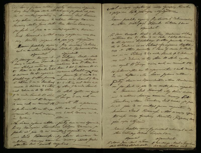 Pušaloto Romos katalikų parapijos bažnyčios 1847–1855 metų priešjungtuvinės apklausos knyga