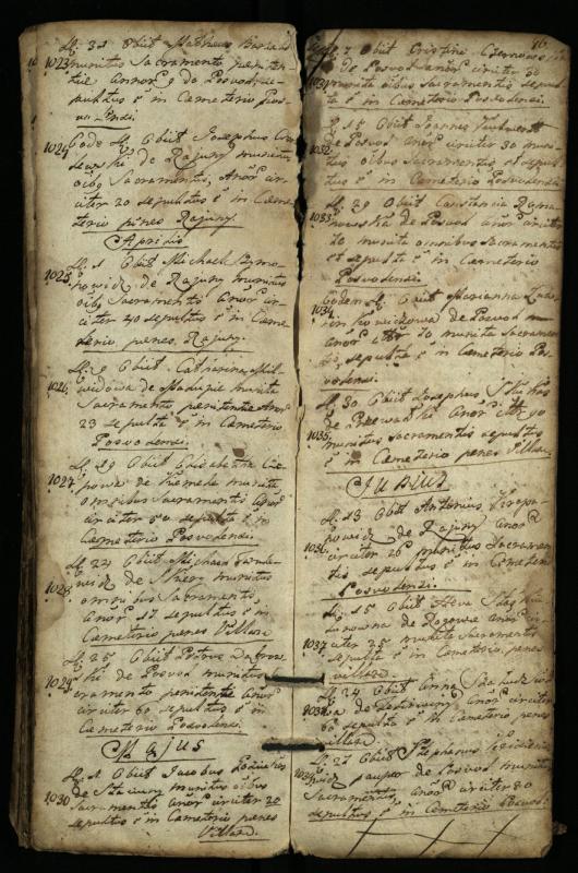 Pasvalio Romos katalikų parapijos bažnyčios 1744–1776 metų mirties metrikų knyga