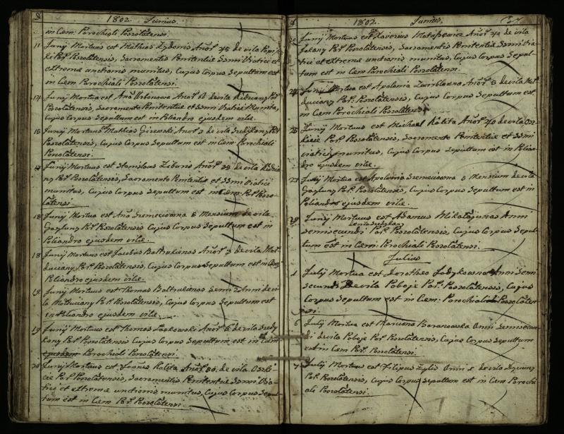 Pušaloto Romos katalikų parapijos bažnyčios 1785–1810 metų mirties metrikų knyga