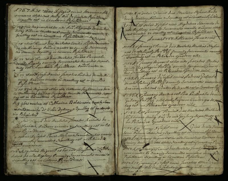 Pušaloto Romos katalikų parapijos bažnyčios 1785–1810 metų mirties metrikų knyga
