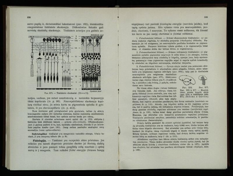 Akių ligų vadovas / Petras Avižonis. – Kaunas: Medicinos fakultetao leidinys, 1940. – VIII, 841, [2] p., 18 iliustr. lap.