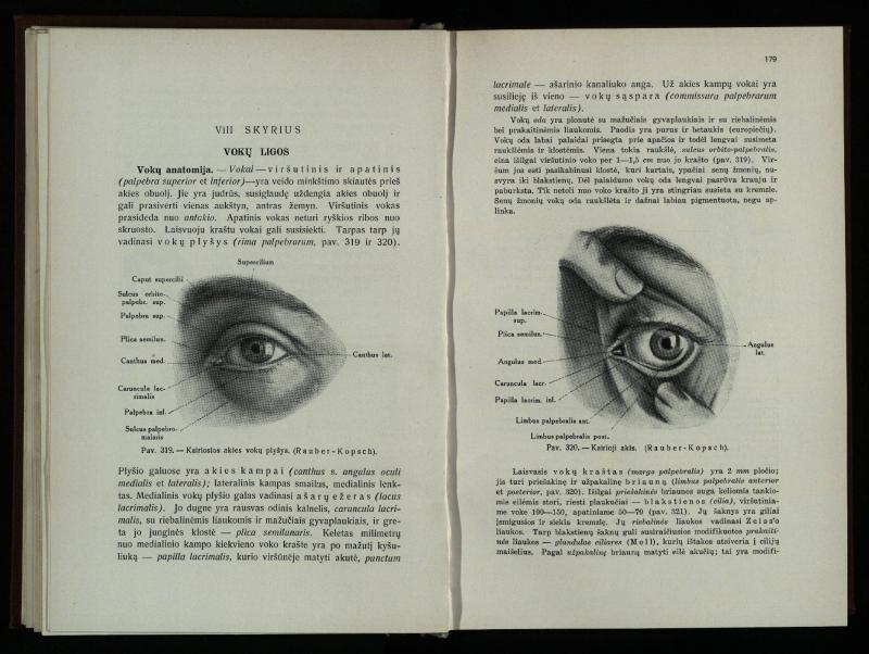 Akių ligų vadovas / Petras Avižonis. – Kaunas: Medicinos fakultetao leidinys, 1940. – VIII, 841, [2] p., 18 iliustr. lap.