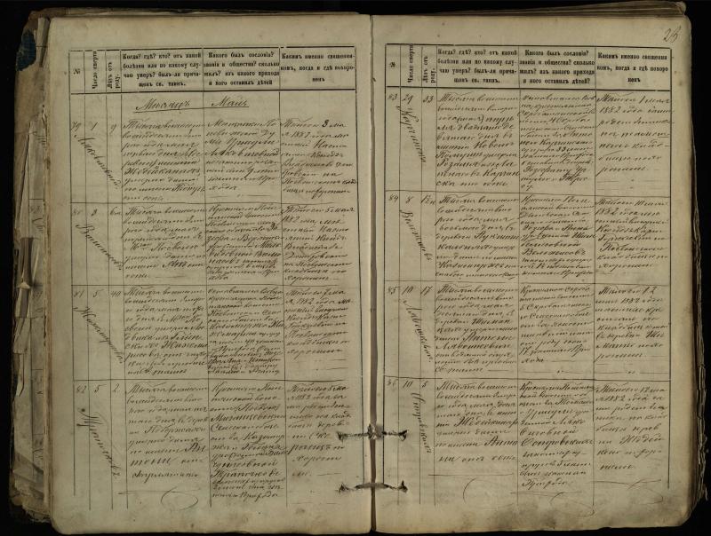 Pasvalio Romos katalikų parapijos bažnyčios 1881–1893 metų mirties metrikų knyga