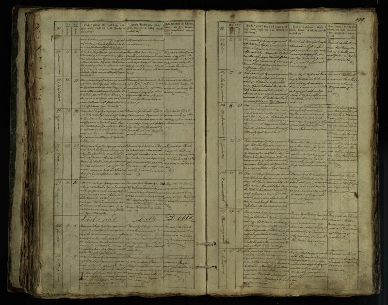 Pušaloto Romos katalikų parapijos bažnyčios 1835–1846 metų krikšto metrikų knyga