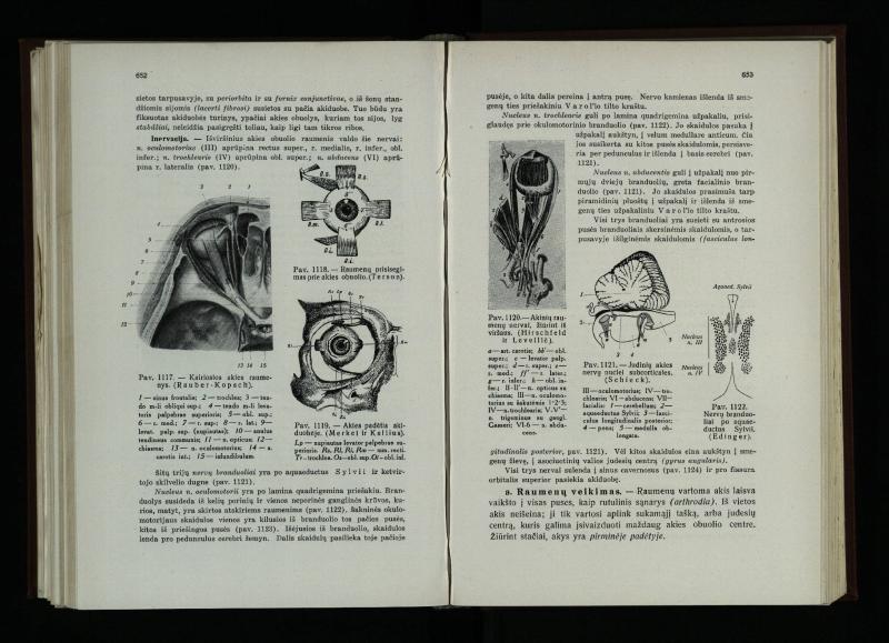 Akių ligų vadovas / Petras Avižonis. – Kaunas: Medicinos fakultetao leidinys, 1940. – VIII, 841, [2] p., 18 iliustr. lap.