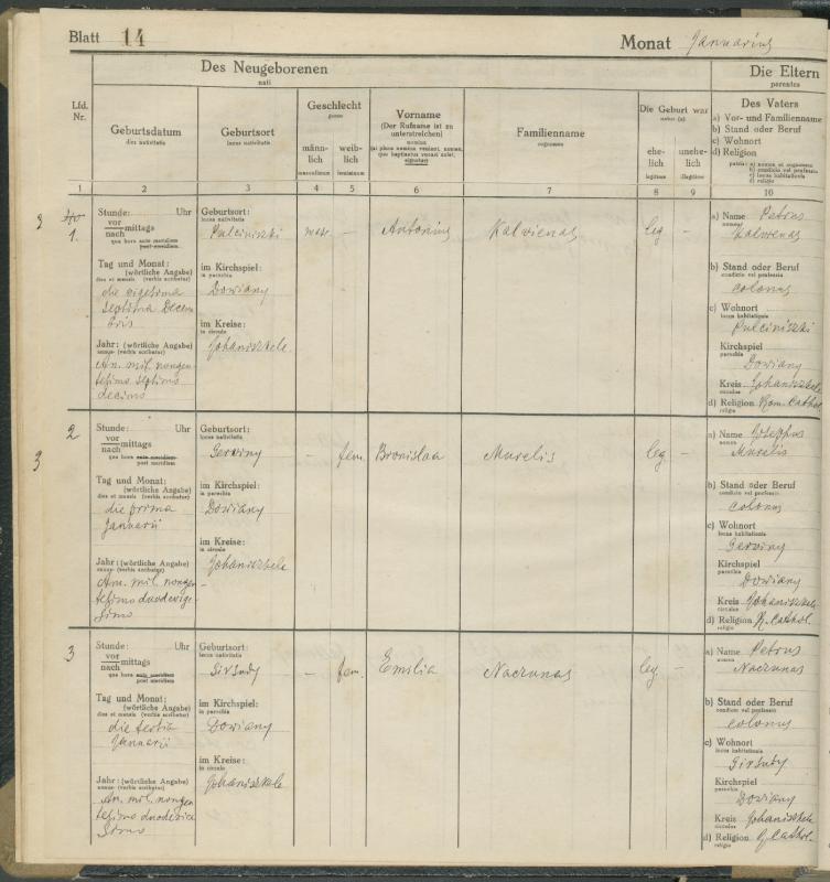 Daujėnų Romos katalikų parapijos bažnyčios 1917–1918 metų krikšto metrikų knyga