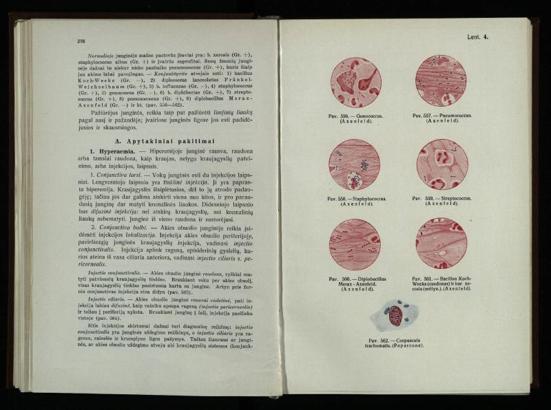 Akių ligų vadovas / Petras Avižonis. – Kaunas: Medicinos fakultetao leidinys, 1940. – VIII, 841, [2] p., 18 iliustr. lap.