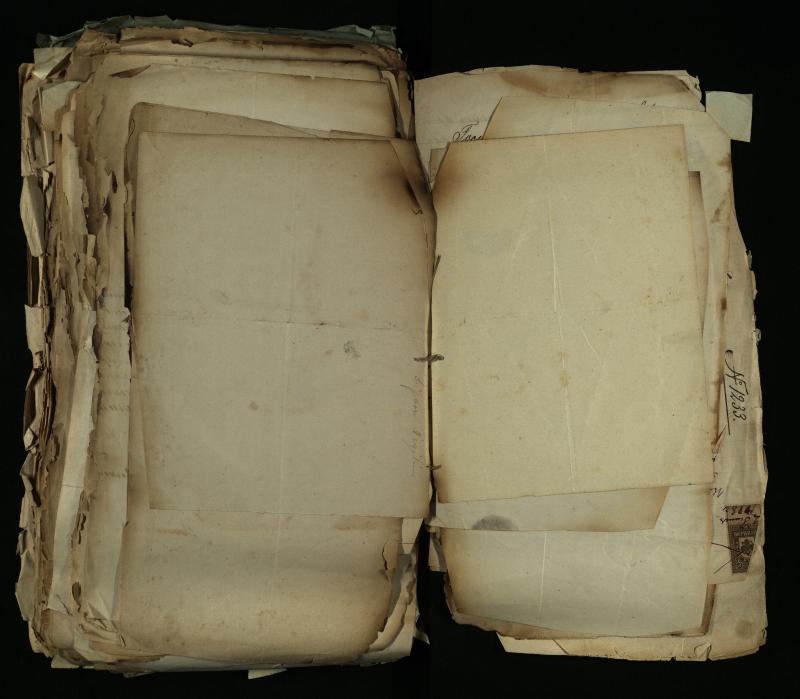 Pušaloto Romos katalikų parapijos bažnyčios 1884–1900 metų gaunamų raštų knyga