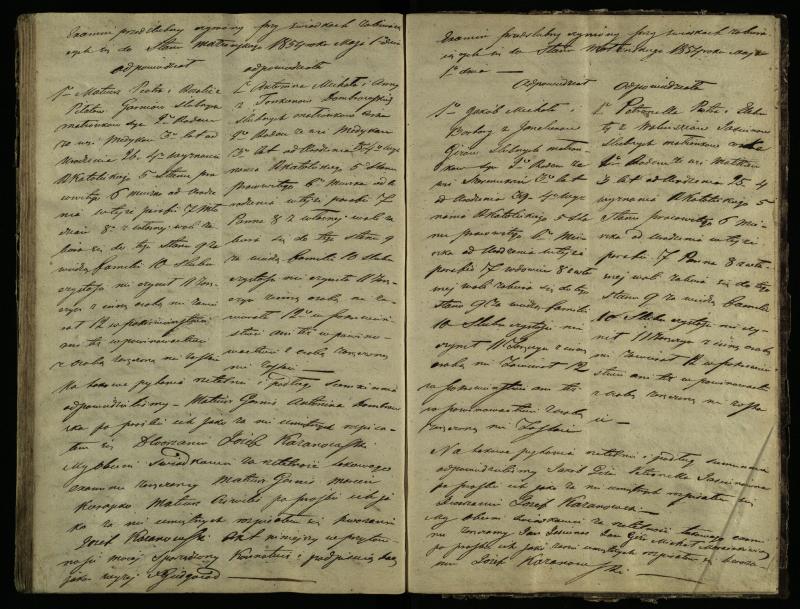 Pušaloto Romos katalikų parapijos bažnyčios 1847–1855 metų priešjungtuvinės apklausos knyga