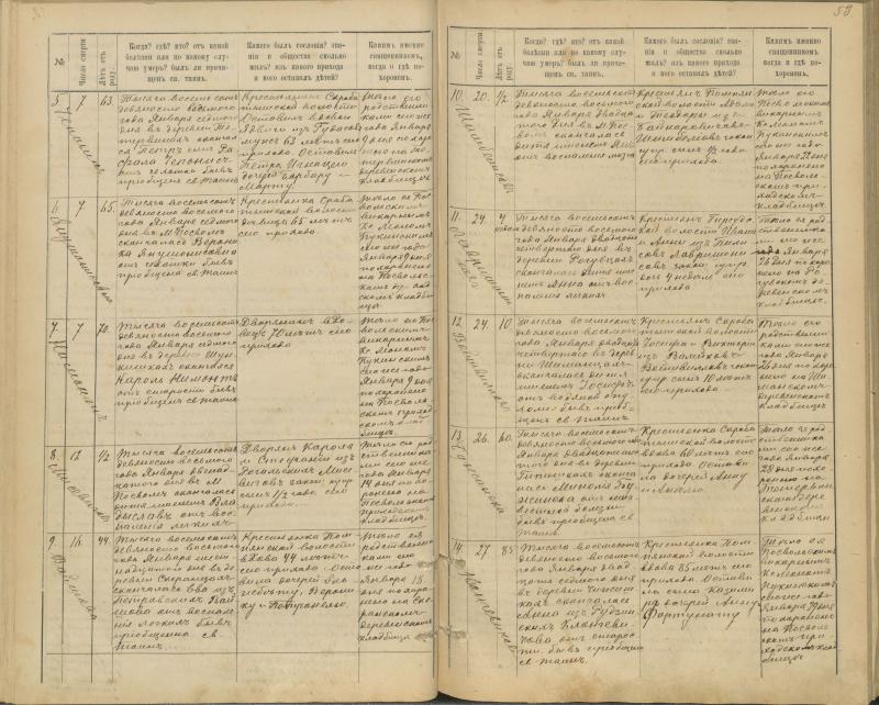 Pasvalio Romos katalikų parapijos bažnyčios 1894–1907 metų mirties metrikų knyga