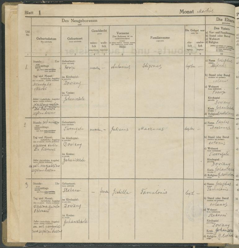 Daujėnų Romos katalikų parapijos bažnyčios 1917–1918 metų krikšto metrikų knyga