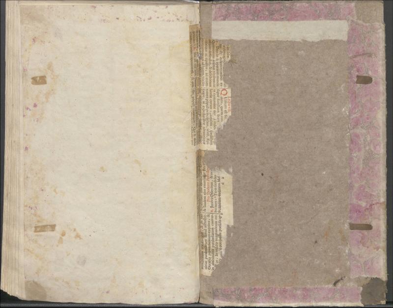 Krinčino Romos katalikų parapijos bažnyčios 1837–1839 metų priešjungtuvinės apklausos knyga