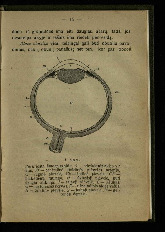 Naminis gydytojas: trumpas paprasčiausių ligų aprašymas ir jų gydymas / d-ras A. Vileišis. – 2-asis patais. leid. – Kaunas: „Švyturio“ b-vės leidinys, 1924. – 143 p.