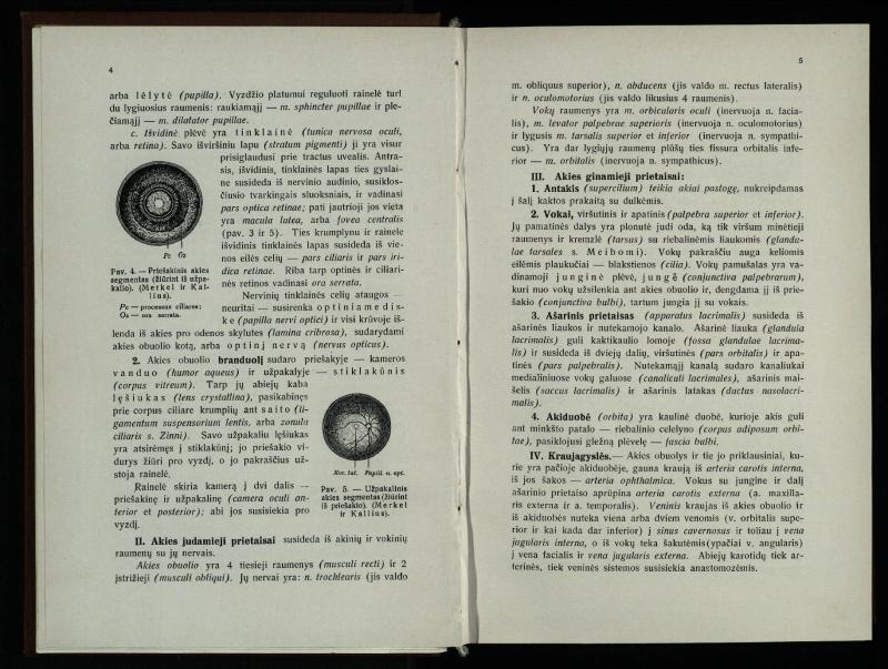 Akių ligų vadovas / Petras Avižonis. – Kaunas: Medicinos fakultetao leidinys, 1940. – VIII, 841, [2] p., 18 iliustr. lap.