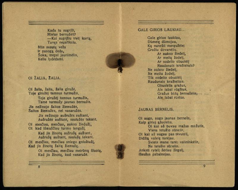 Žaliosios girios giesmės : (Krykliniečių dainos) / surašė Dievo Muzikantas ; išleido Antanas Dirsė