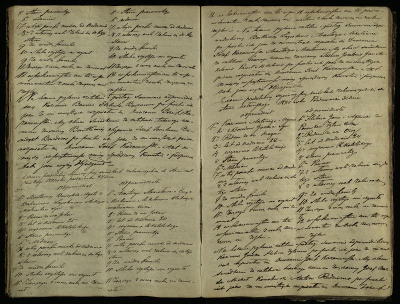 Pušaloto Romos katalikų parapijos bažnyčios 1847–1855 metų priešjungtuvinės apklausos knyga