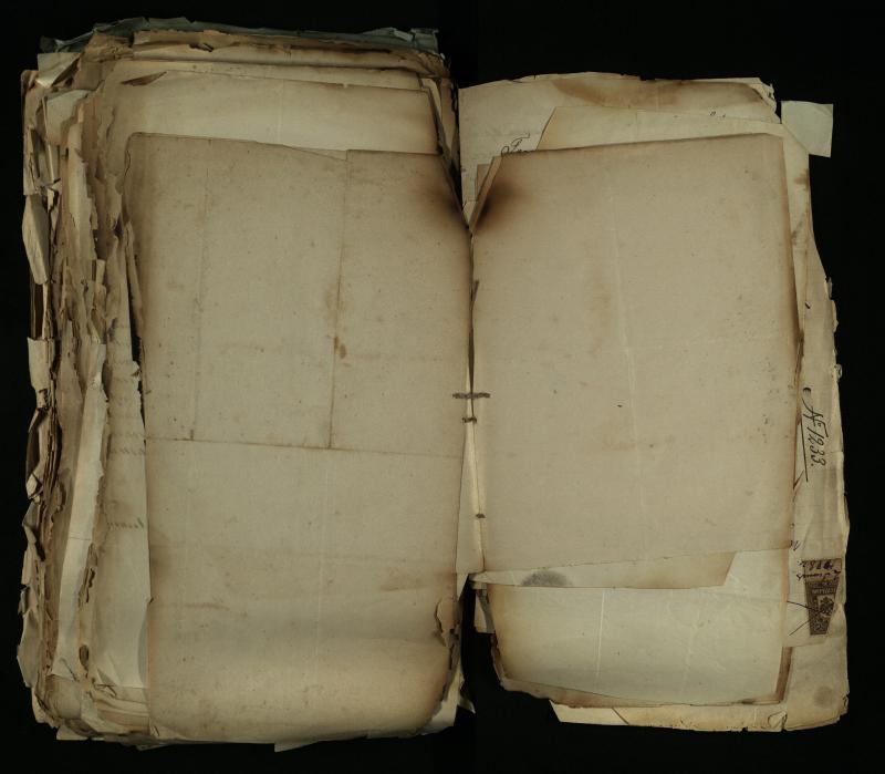 Pušaloto Romos katalikų parapijos bažnyčios 1884–1900 metų gaunamų raštų knyga