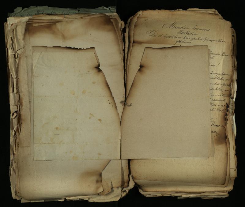 Pušaloto Romos katalikų parapijos bažnyčios 1884–1900 metų gaunamų raštų knyga
