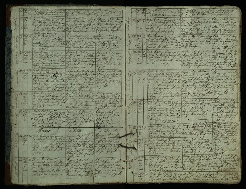 Pušaloto Romos katalikų parapijos bažnyčios 1828–1834 metų mirties metrikų knyga