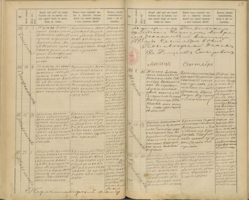 Pasvalio Romos katalikų parapijos bažnyčios 1894–1907 metų mirties metrikų knyga