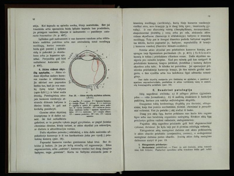 Akių ligų vadovas / Petras Avižonis. – Kaunas: Medicinos fakultetao leidinys, 1940. – VIII, 841, [2] p., 18 iliustr. lap.