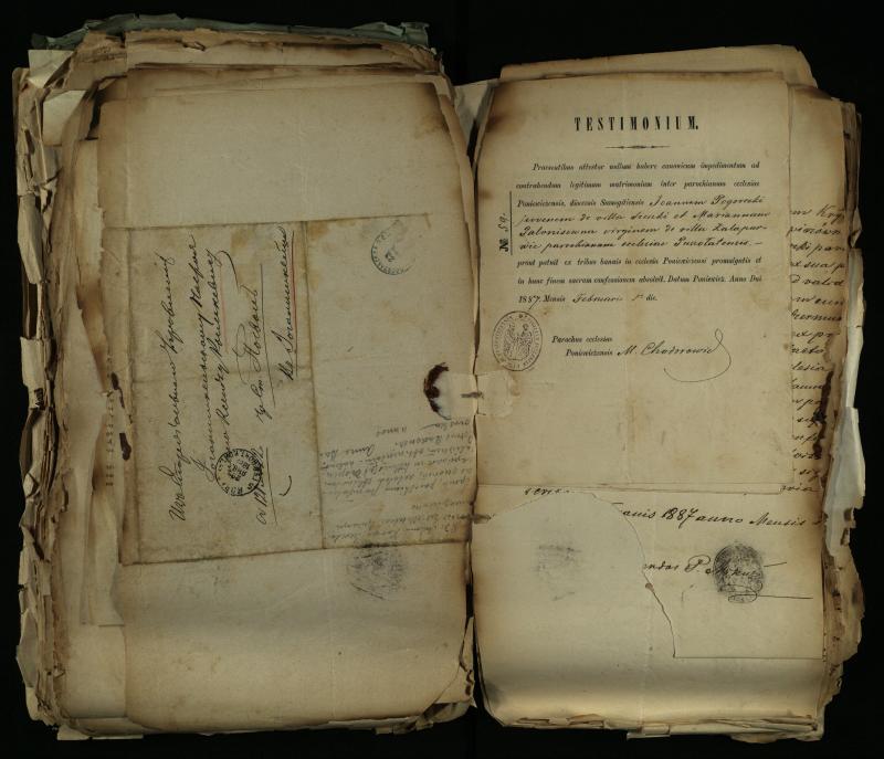 Pušaloto Romos katalikų parapijos bažnyčios 1884–1900 metų gaunamų raštų knyga
