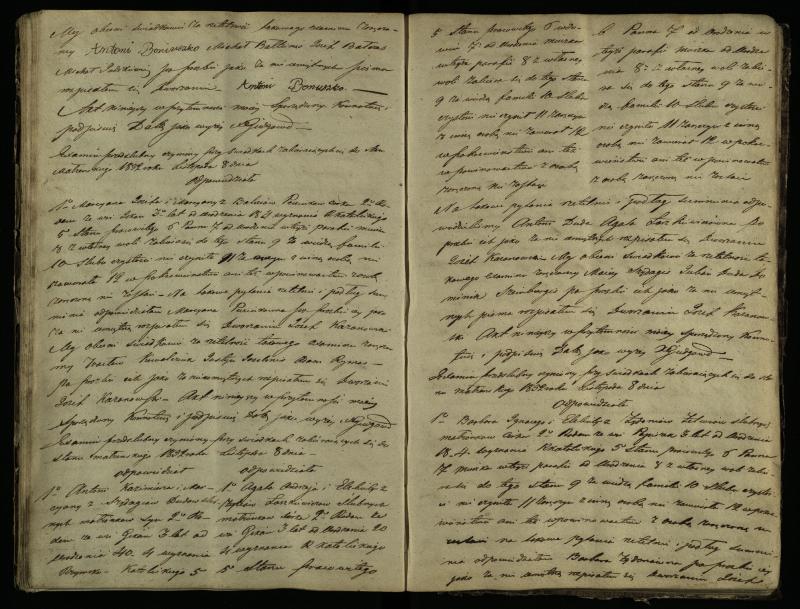 Pušaloto Romos katalikų parapijos bažnyčios 1847–1855 metų priešjungtuvinės apklausos knyga