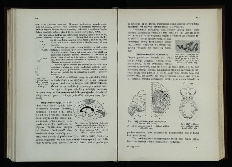 Akių ligų vadovas / Petras Avižonis. – Kaunas: Medicinos fakultetao leidinys, 1940. – VIII, 841, [2] p., 18 iliustr. lap.