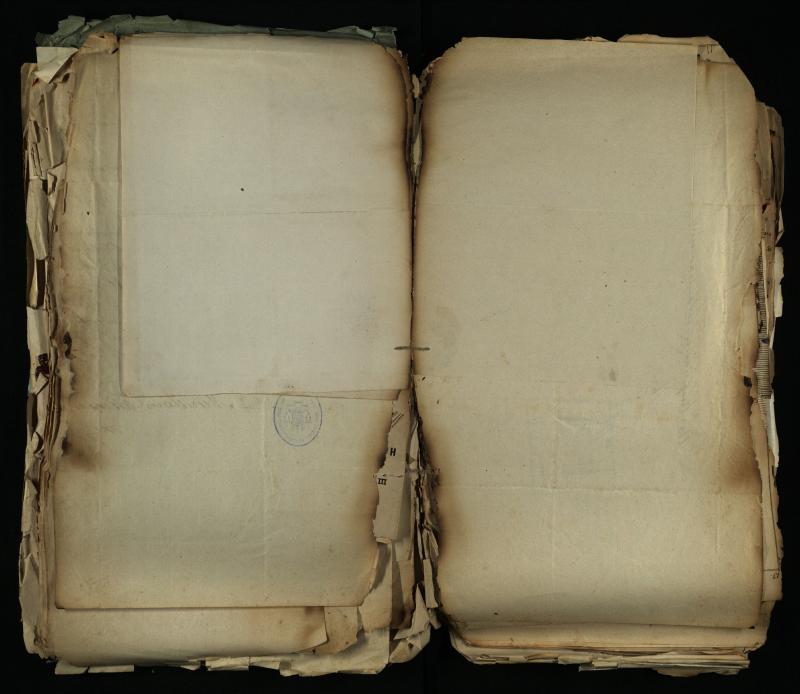 Pušaloto Romos katalikų parapijos bažnyčios 1884–1900 metų gaunamų raštų knyga