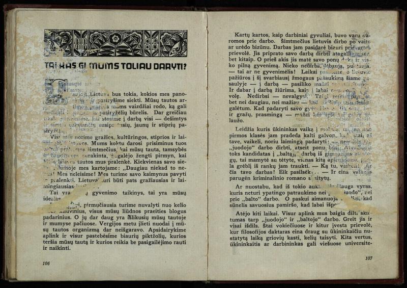Naujoji Lietuva