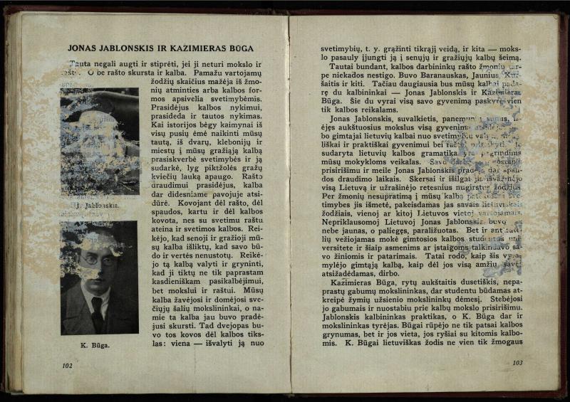 Naujoji Lietuva