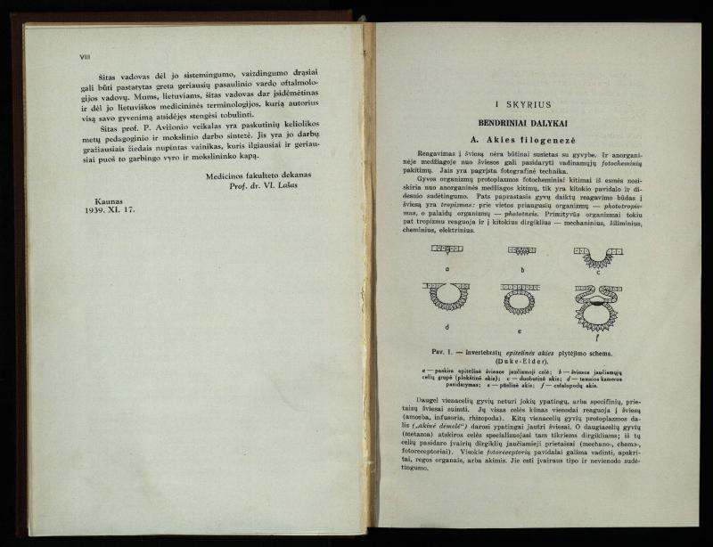 Akių ligų vadovas / Petras Avižonis. – Kaunas: Medicinos fakultetao leidinys, 1940. – VIII, 841, [2] p., 18 iliustr. lap.