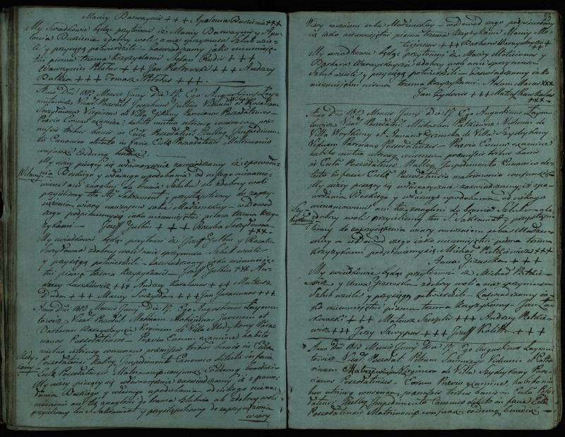 Pušaloto Romos katalikų parapijos bažnyčios 1810–1819 metų jungtuvių metrikų knyga