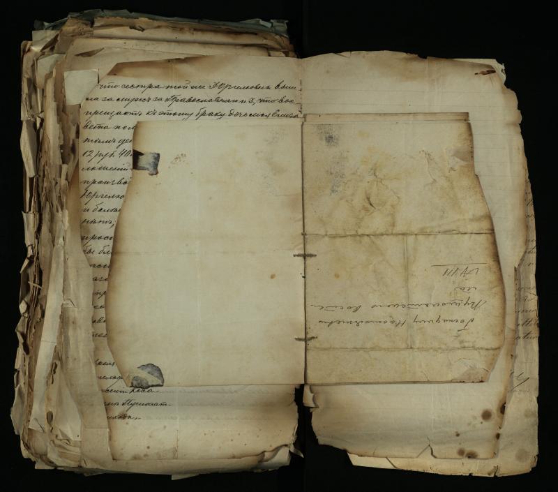 Pušaloto Romos katalikų parapijos bažnyčios 1884–1900 metų gaunamų raštų knyga