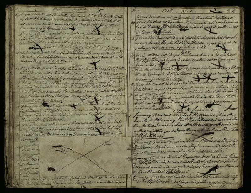 Pušaloto Romos katalikų parapijos bažnyčios 1785–1810 metų mirties metrikų knyga