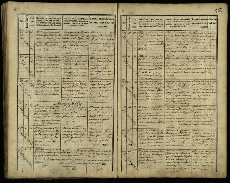 Pasvalio Romos katalikų parapijos bažnyčios 1866–1881 metų mirties metrikų knyga