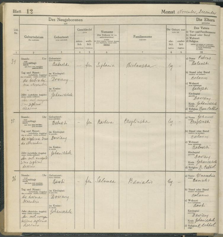Daujėnų Romos katalikų parapijos bažnyčios 1917–1918 metų krikšto metrikų knyga