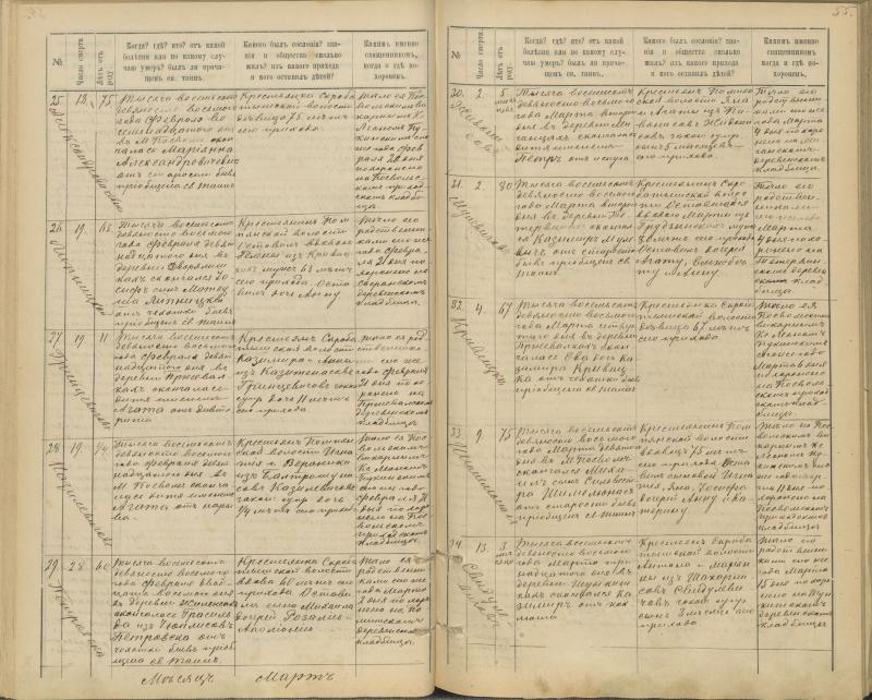 Pasvalio Romos katalikų parapijos bažnyčios 1894–1907 metų mirties metrikų knyga