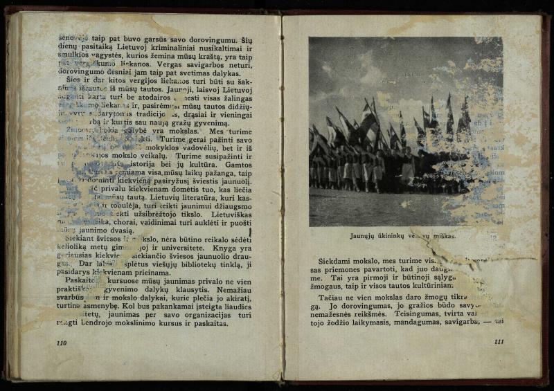 Naujoji Lietuva