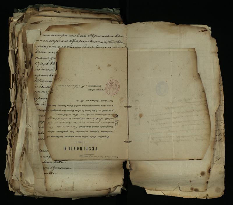 Pušaloto Romos katalikų parapijos bažnyčios 1884–1900 metų gaunamų raštų knyga