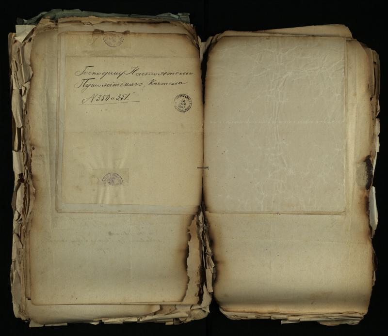 Pušaloto Romos katalikų parapijos bažnyčios 1884–1900 metų gaunamų raštų knyga