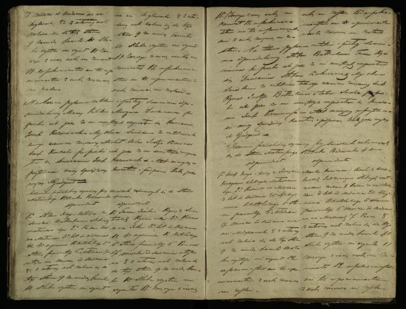 Pušaloto Romos katalikų parapijos bažnyčios 1847–1855 metų priešjungtuvinės apklausos knyga