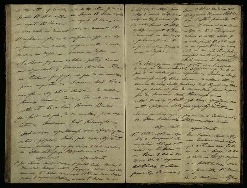 Pušaloto Romos katalikų parapijos bažnyčios 1847–1855 metų priešjungtuvinės apklausos knyga