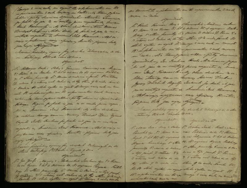 Pušaloto Romos katalikų parapijos bažnyčios 1847–1855 metų priešjungtuvinės apklausos knyga