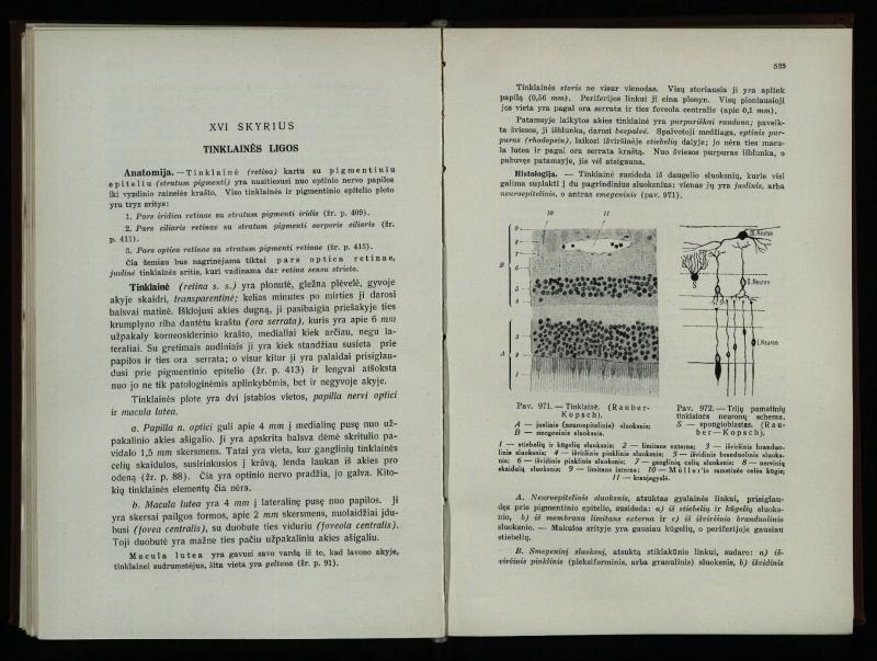 Akių ligų vadovas / Petras Avižonis. – Kaunas: Medicinos fakultetao leidinys, 1940. – VIII, 841, [2] p., 18 iliustr. lap.