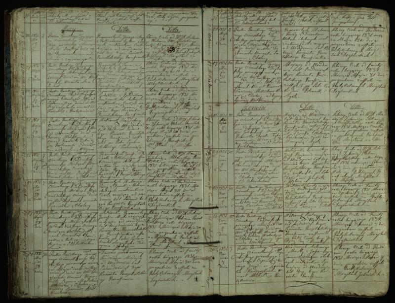 Pušaloto Romos katalikų parapijos bažnyčios 1828–1834 metų mirties metrikų knyga