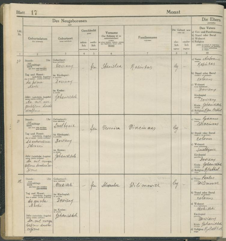 Daujėnų Romos katalikų parapijos bažnyčios 1917–1918 metų krikšto metrikų knyga