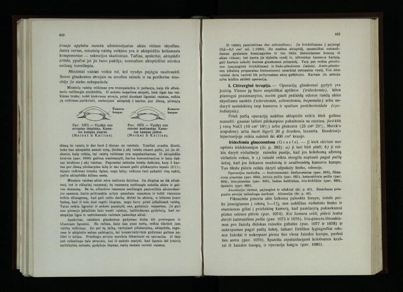 Akių ligų vadovas / Petras Avižonis. – Kaunas: Medicinos fakultetao leidinys, 1940. – VIII, 841, [2] p., 18 iliustr. lap.