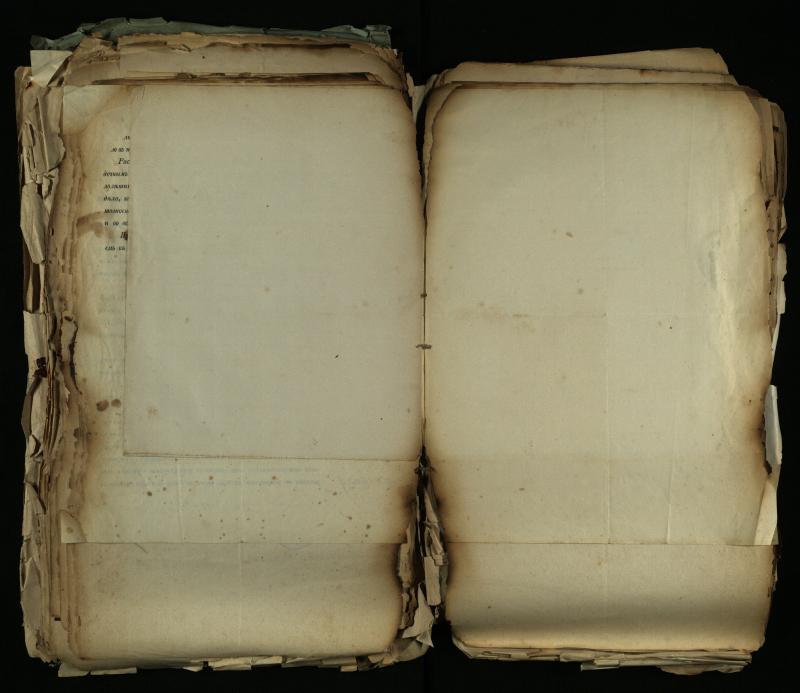 Pušaloto Romos katalikų parapijos bažnyčios 1884–1900 metų gaunamų raštų knyga
